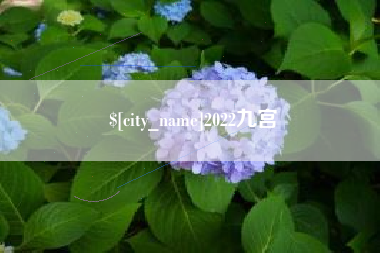 文山2022九宫