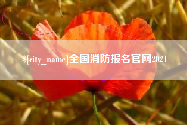 文山全国消防报名官网2021