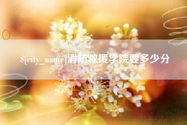 文山消防救援学院要多少分