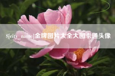 文山金牌图片大全大图卡通头像