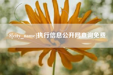 文山执行信息公开网查询免费