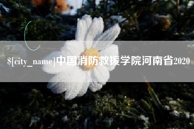 文山中国消防救援学院河南省2020